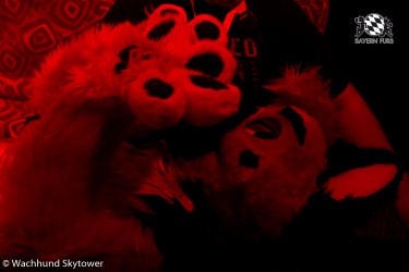 BFD8 1013 von Wachhund