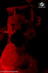 BFD8 1016 von Wachhund