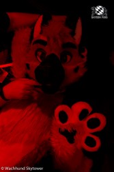 BFD8 1018 von Wachhund