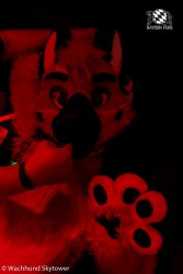 BFD8 1020 von Wachhund