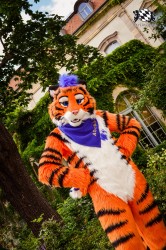 BFD3 0214 von LeeTaiger