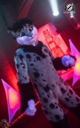 BFD3 0263 von LeeTaiger