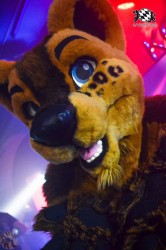 BFD3 0267 von LeeTaiger