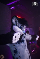 BFD3 0277 von LeeTaiger