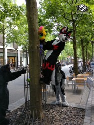 BFD3 0288 von Unbekannt