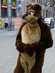 BFD3 0385 von Unbekannt