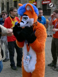 BFD3 0386 von Unbekannt