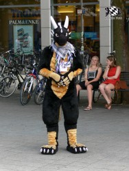 BFD3 0393 von Unbekannt