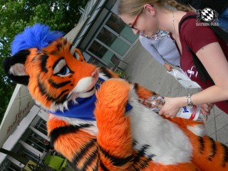 BFD3 0394 von Unbekannt