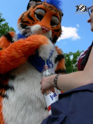 BFD3 0396 von Unbekannt