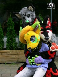 BFD3 0429 von Unbekannt