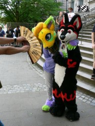 BFD3 0453 von Unbekannt