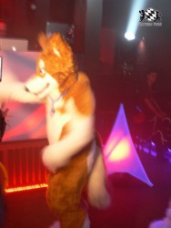 BFD3 0596 von Unbekannt