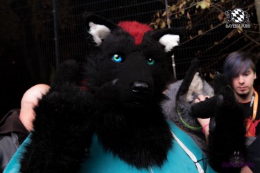 BFD4 0240 von Sephius