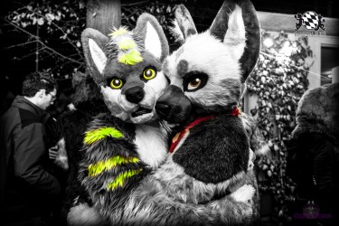 BFD4 0257 von Sephius