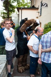 BFD5 0014 von Bastlwastl