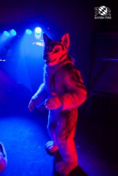 BFD5 0055 von Bastlwastl