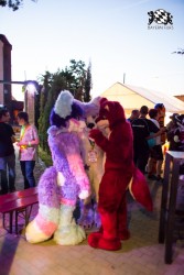 BFD5 0084 von Bastlwastl