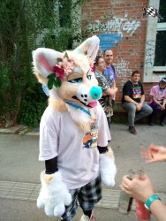 bfd111 von augustamars