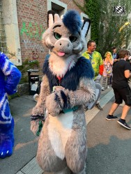 bfd111 von werefox aries