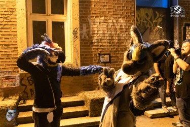 bfd111 0407 von final