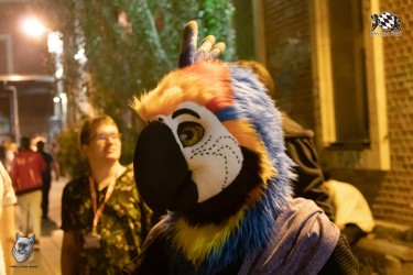 bfd111 0408 von final