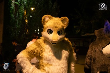 bfd111 0428 von final