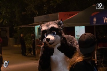 bfd111 0429 von final