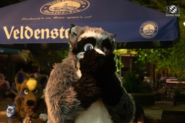 bfd111 0430 von final